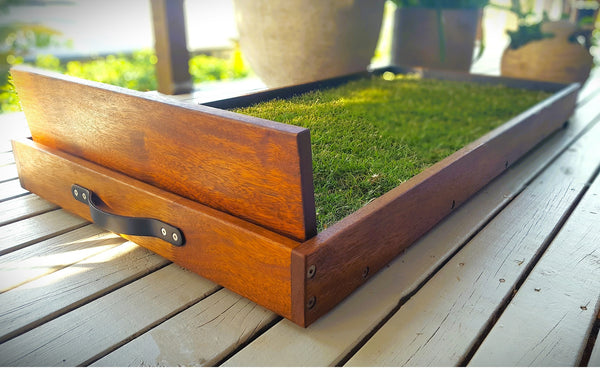 timber puppy potty with grass