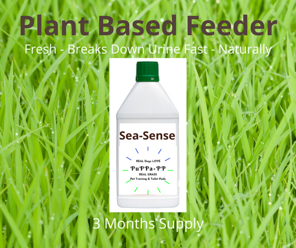 Plant Based Grass Feed for real grass pee pads STOPS SMELLS FAST